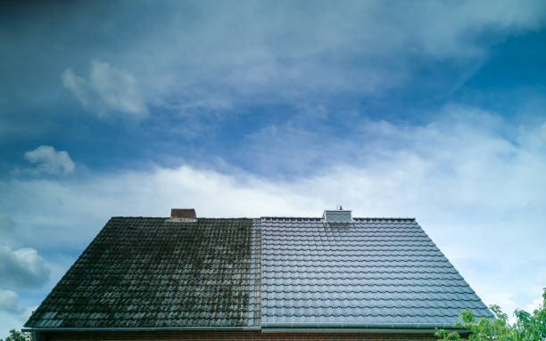 portfolio-img-1